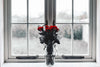 Rose Anticipation Wall Art