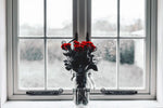Rose Anticipation Wall Art
