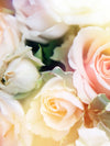 Roses In Bloom Wall Art