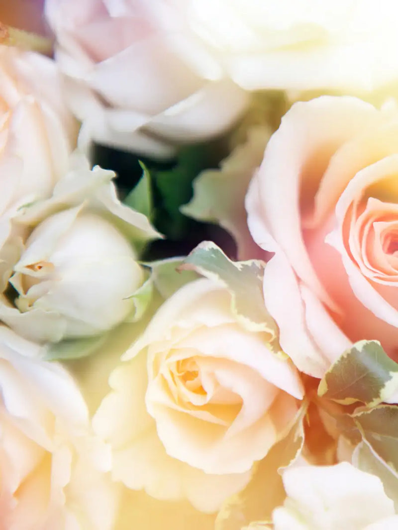 Roses In Bloom Wall Art