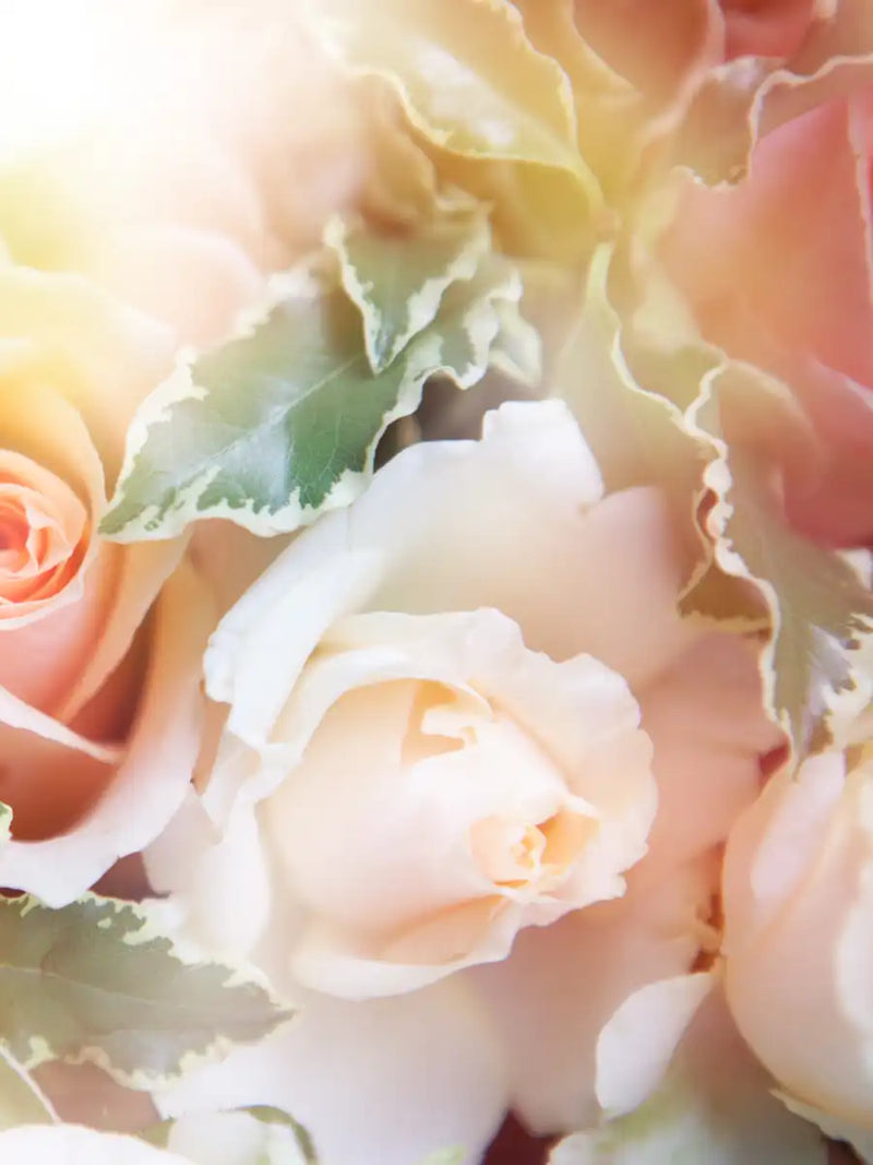 Roses In Bloom Wall Art
