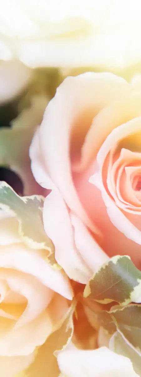 Roses In Bloom Wall Art