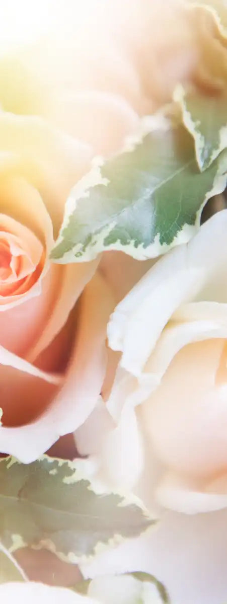 Roses In Bloom Wall Art