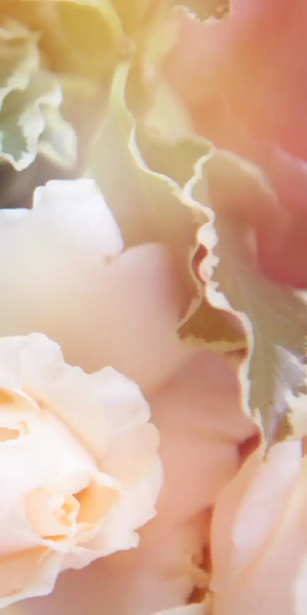 Roses In Bloom Wall Art