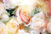 Roses In Bloom Wall Art