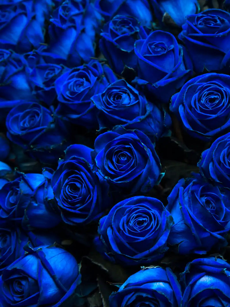 Royal Blue Roses Wall Art
