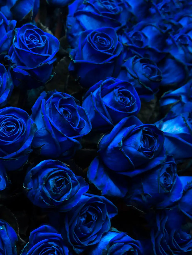 Royal Blue Roses Wall Art
