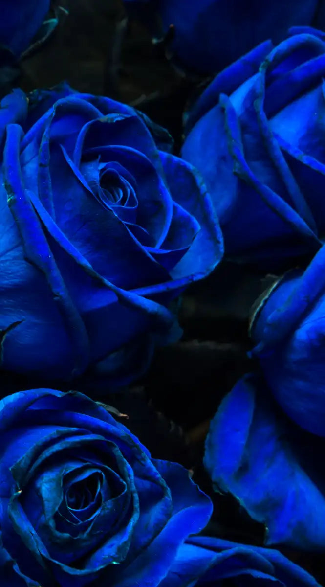 Royal Blue Roses Wall Art