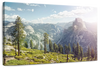 Yosemite Half Dome Wall Art