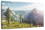 Yosemite Half Dome Wall Art