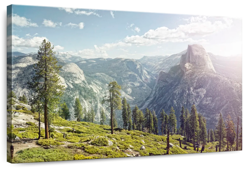 Yosemite Half Dome Wall Art