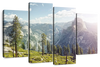 Yosemite Half Dome Wall Art