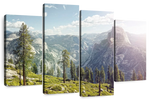 Yosemite Half Dome Wall Art