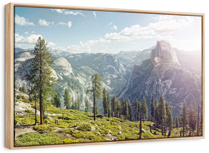 Yosemite Half Dome Wall Art