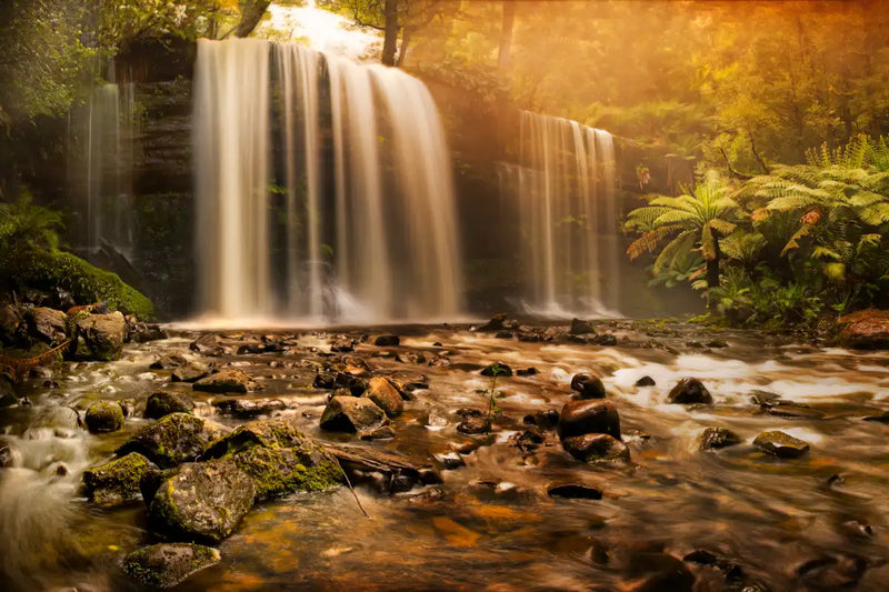 Russell Falls Wall Art
