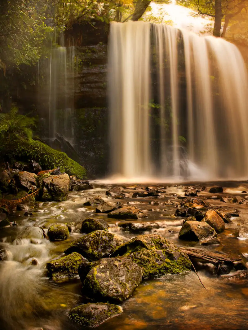 Russell Falls Wall Art