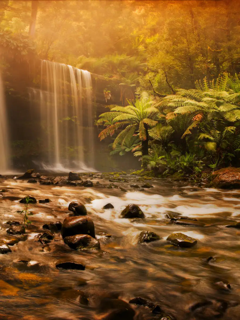 Russell Falls Wall Art
