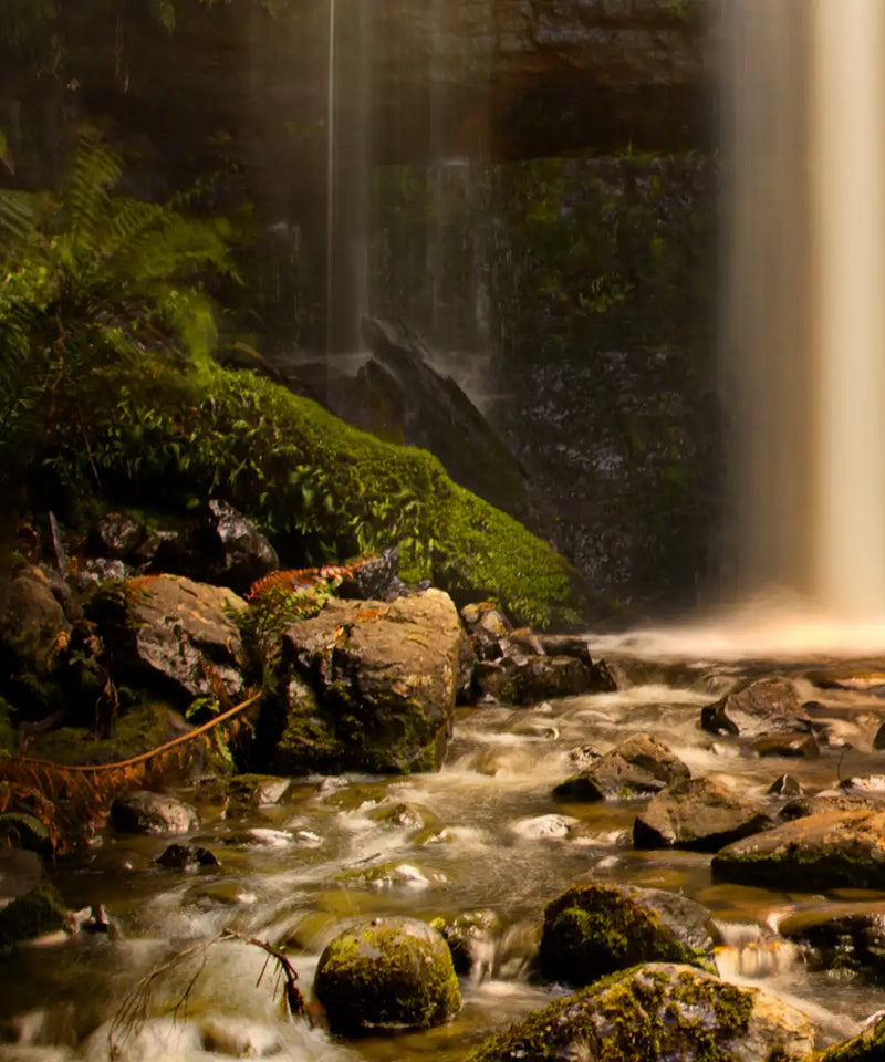 Russell Falls Wall Art