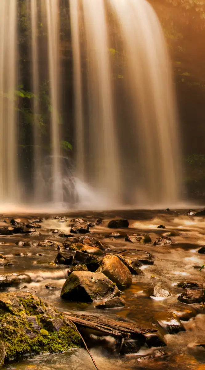 Russell Falls Wall Art