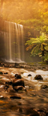 Russell Falls Wall Art