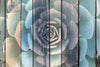 Rustic Blooming Succulent Wall Art