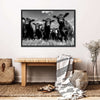 Monochrome Angus Cows Wall Art