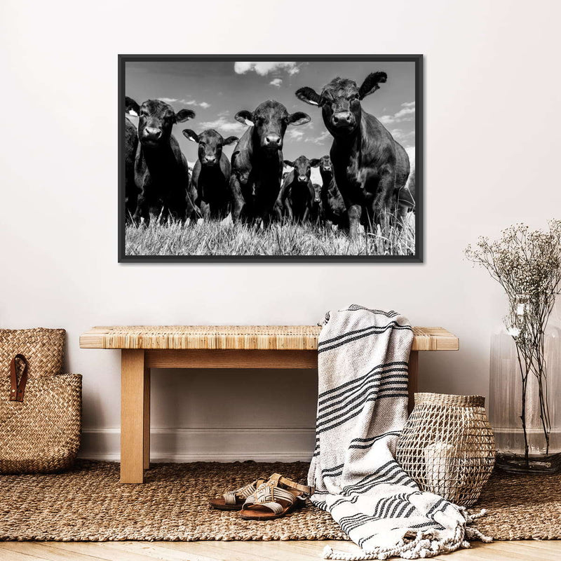 Monochrome Angus Cows Wall Art