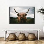 Open Field Highland Cow Wall Art