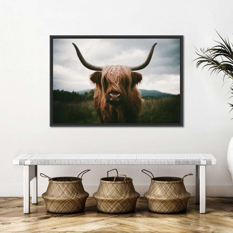 Open Field Highland Cow Wall Art