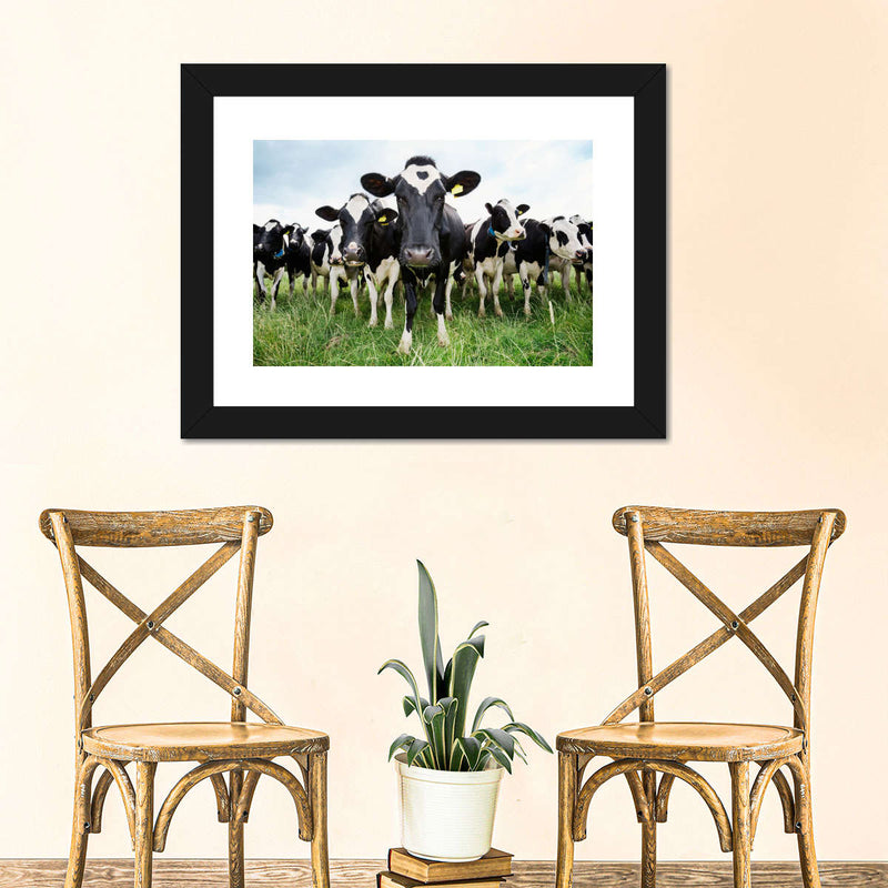 Holstein Cows Wall Art
