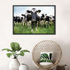 Holstein Cows Wall Art