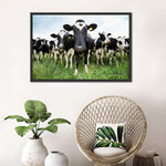 Holstein Cows Wall Art