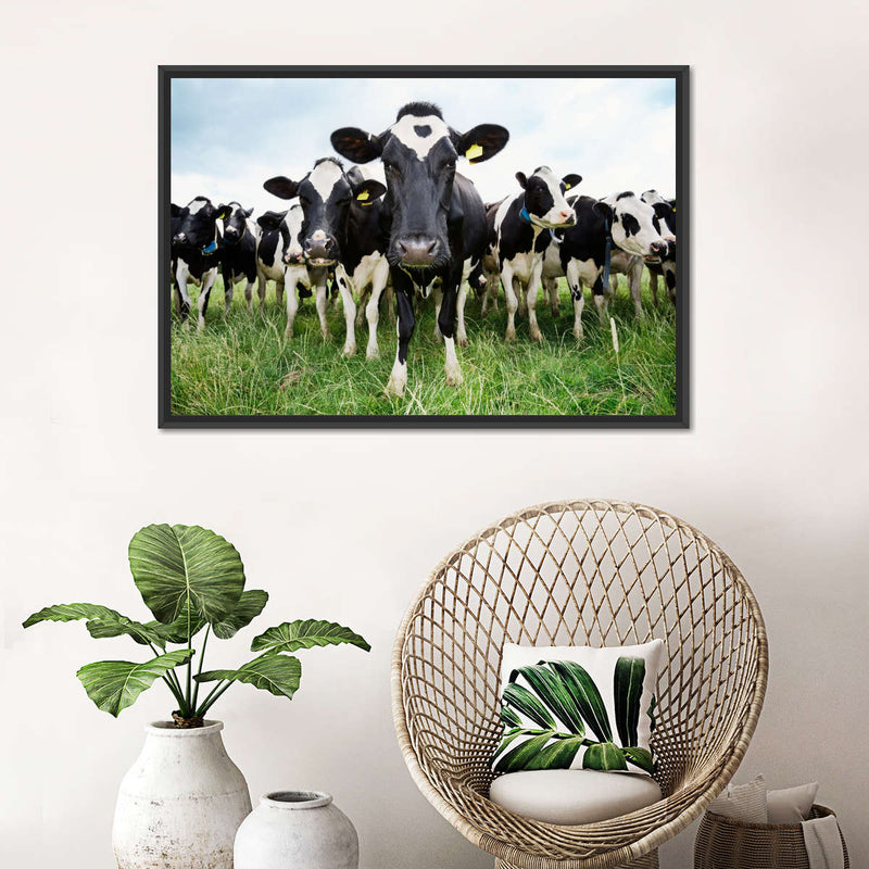 Holstein Cows Wall Art