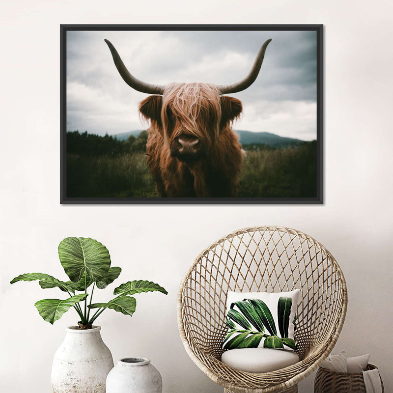 Open Field Highland Cow Wall Art