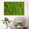Green Reindeer Moss Wall Art