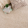 Heavenly Solid Dark Beige Plush Rug