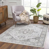 Liverpool Light Gray Area Rug