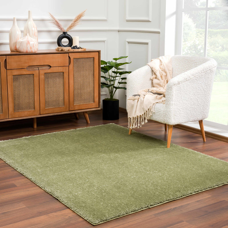 Heavenly Solid Green Plush Rug