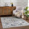 Liverpool Gray & Blue Area Rug