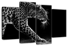 Walking Leopard Wall Art