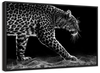 Walking Leopard Wall Art