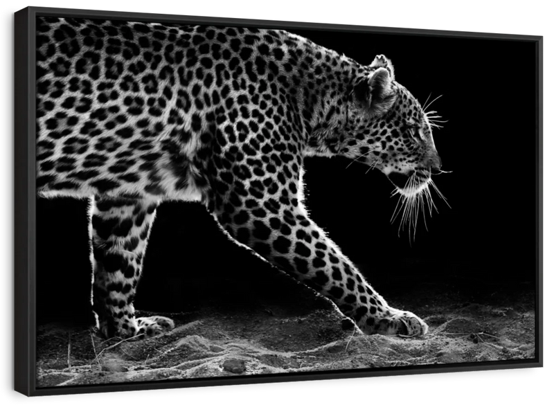 Walking Leopard Wall Art