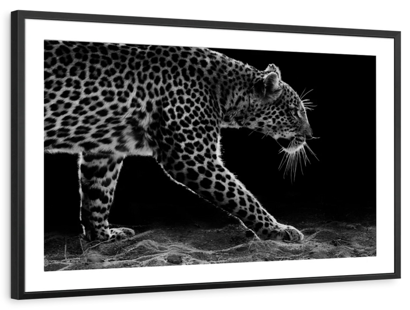 Walking Leopard Wall Art