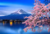 Sakura In Spring Wall Art