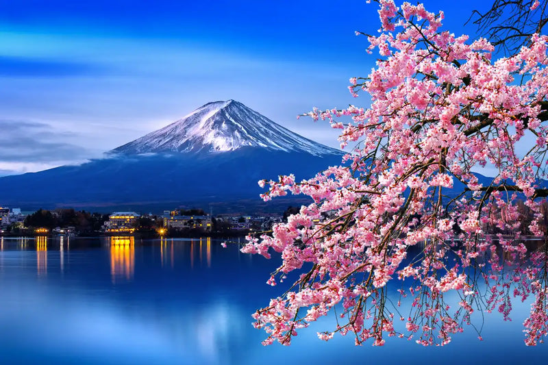 Sakura In Spring Wall Art