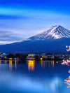 Sakura In Spring Wall Art