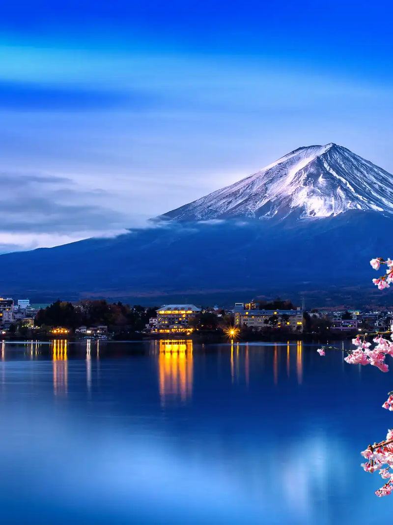 Sakura In Spring Wall Art