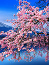Sakura In Spring Wall Art