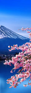 Sakura In Spring Wall Art