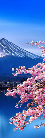 Sakura In Spring Wall Art
